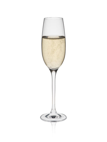 Champagneglas Edition 15cl Rona 6-pack