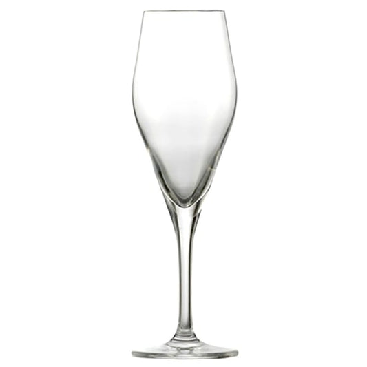Champagneglas Basic Bar Audience 77, 25cl Schott Zwiesel 6-pack