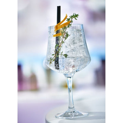 GT Arome 60cl Libbey 6-pack