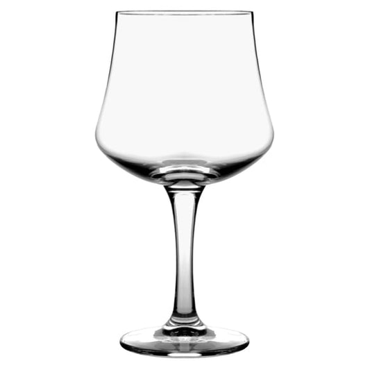 GT Arome 60cl Libbey 6-pack