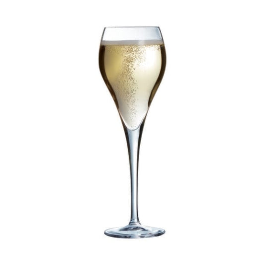 Champagneglas Brio 16cl Arc 6-pack