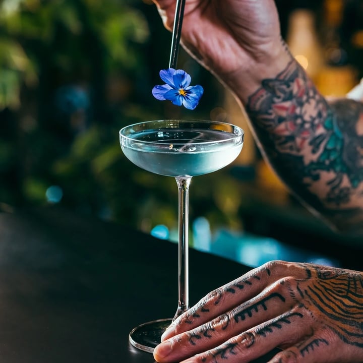 Cocktailglas Bespoke Coupette 12cl Onis 6-pack